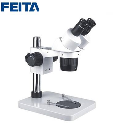 FT-6024B1 Stereo Microscope